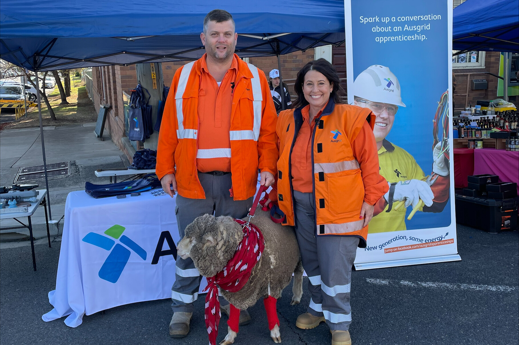 Ausgrid employees at a community event with a sheep