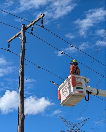 Ausgrid powerpole and line