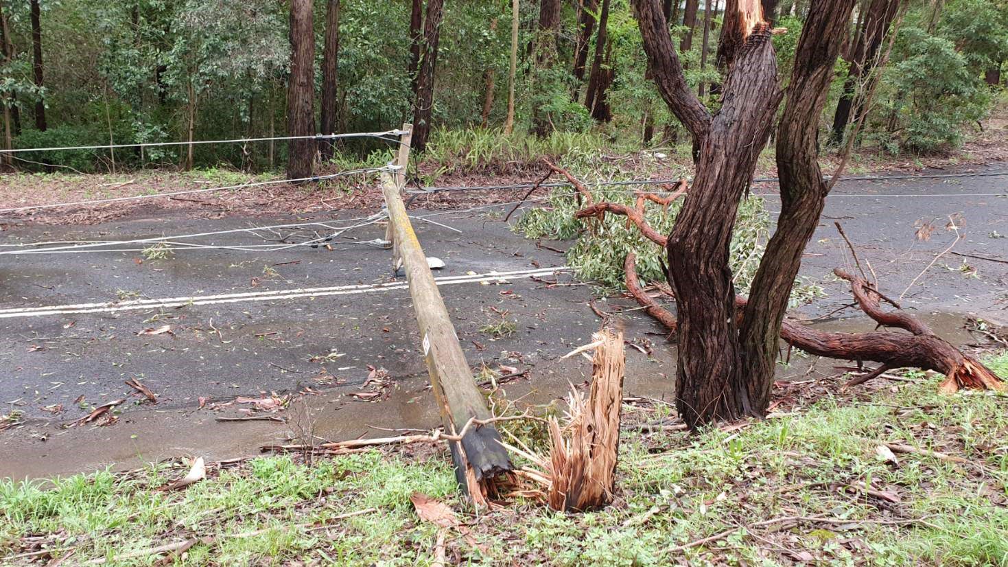 Damaged powerline caused by electrical storm