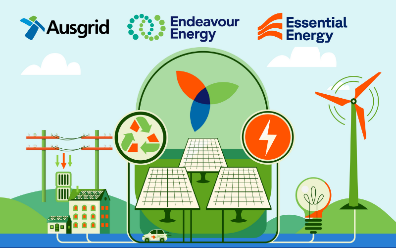 NSW DSP Distribution Plan graphic